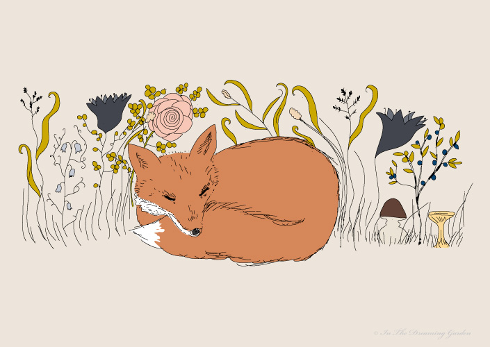 Illustration Fox