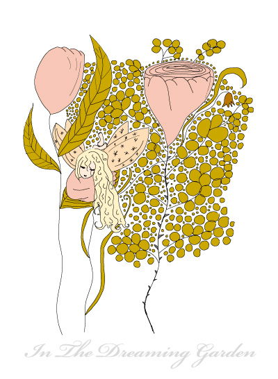 Illustration Fox